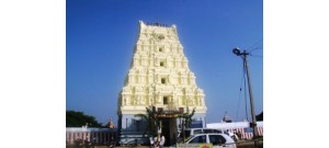 நார்த்தாம்பூண்டி